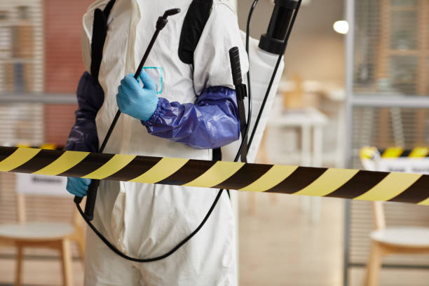 Professional Sewage Cleanup technician working in Somerset, CA